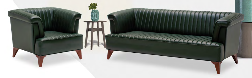 Albena Koltuk Takımı